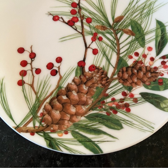 New Williams Sonoma Woodland Berry Appetizer Plates, Set of 4, Mixed Dinnerware